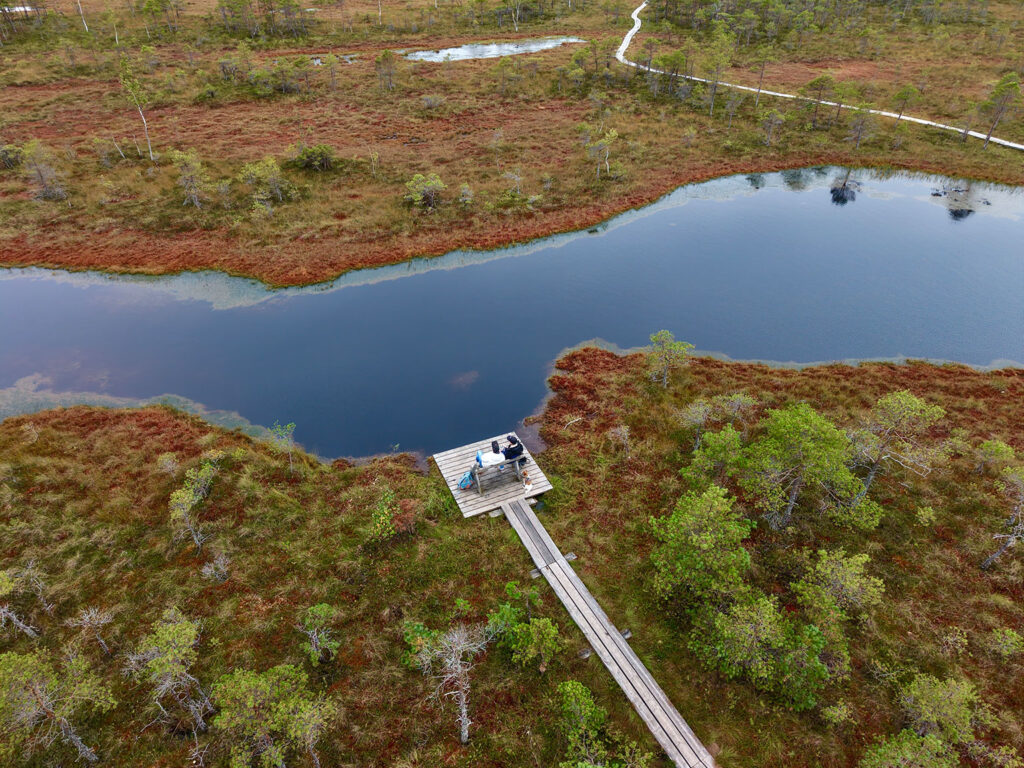 Moorseen und Holzstege im Ķemeri-Nationalpark in Lettland