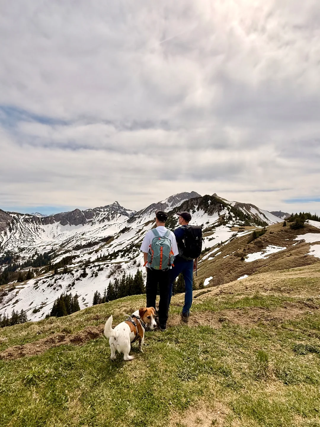 Zwei Wanderer und ein Hund gehen über einen Bergpfad mit Blick auf schneebedeckte Gipfel.