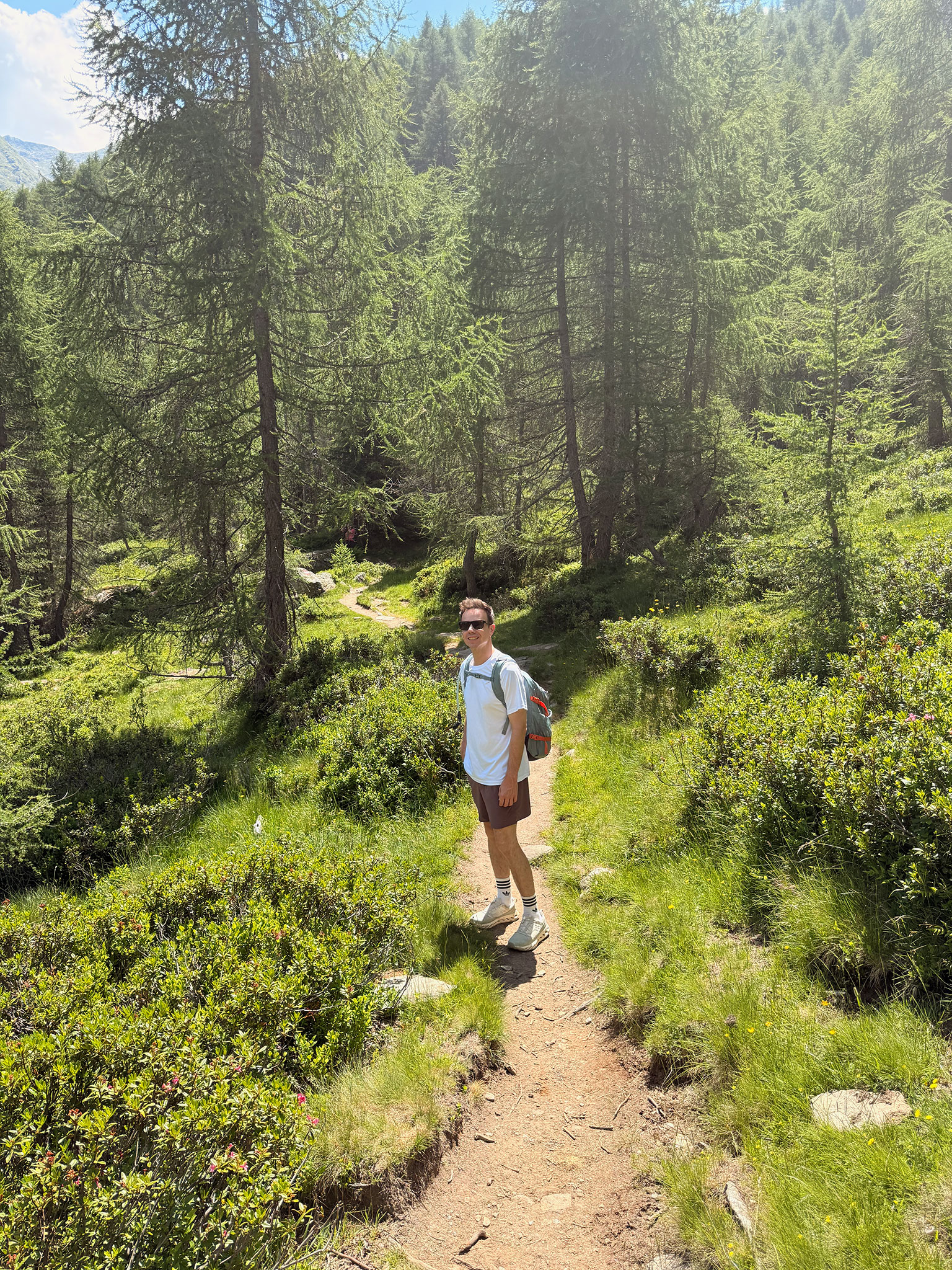 Wanderer auf einem schmalen, sonnigen Waldpfad am Pfelders Panoramaweg.